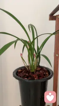 美好的心情刚刚开始配图