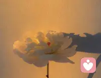 保护能量的最好方式是我不入你的局、不期待你的认可、也不畏惧你的否定。当我不进入你的评价体系，遍无人能掌控我的悲喜。配图