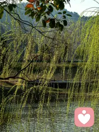 我相信每个人都有自我疗愈的力量，我愿在此过程中提供专业的陪伴与支持。不必急着坚强，不用假装没事，那些没说出口的委屈、深夜里翻来覆去的纠结、无人理解的疲惫，都值得被好好安放。情绪要自己消化，心事要慢慢沉淀，谁都不是谁的归宿，但你可以在这里暂时停靠。我会安静倾听，不评判、不催促，陪你把混乱理清楚，把难过慢慢放下，陪你一点点找回内心的安稳与力量。配图