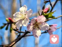 情绪要自己消化，心事要慢慢沉淀，谁都不是谁的归宿。不必把所有期待都寄托在别人身上，也别指望谁能完全懂你的脆弱。难过时学会自愈，迷茫时慢慢清醒，孤独时好好自处。人生本就是一场独自的修行，真正能陪你走到最后的，只有那个越来越坚强的自己。配图