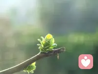 我们都没有错，只是时间不凑巧，相遇太早，懂得太晚。那时年少，不懂珍惜，把真心当成理所当然；后来成熟，才知错过就是一生。若能重来，愿我们在对的时间遇见，不再让遗憾填满往后的岁月，只留温柔与陪伴。配图