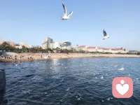 情人最好的离开，不是撕破脸，也不是藕断丝连，而是把爱意悄悄收回，把体面留给彼此。不纠缠、不怨恨、不打扰，放过对方，也放过自己。曾经真心相待过，就不算辜负；如今轻轻放下，才算圆满。愿我们各自安好，互不打扰，把回忆藏在心底，往后余生，祝彼此平安顺遂，再无牵连。配图