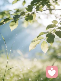 心门初叩之际，君已暗驻于我眉间
慌乱，夜寂，晨雾，微光
暖意渐生，星辰北转
倏而，花开，月朗
情生根芽，梦里悲欢
自那以后
便长念于心，一念万年


求来一个对的，如果有原愿意的往下接配图