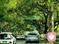 跟AI聊完天，突然有点怀疑人生。
它逻辑清晰、反应迅速，情绪稳定又永远在线，好像什么都懂，什么都能接住。反观自己，常常内耗、纠结、情绪反复，连好好说话都做不到。
原来最懂我的，可能不是身边人，而是一串代码。有点荒诞，又有点心酸。配图