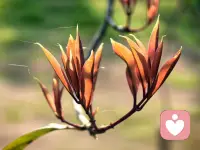 爱你，是藏在日常里的温柔，是随口一句的惦记，是看见美好就想分享给你的心动。不用轰轰烈烈，不用刻意讨好，只要一想到你，心里就满是安稳与欢喜。往后的日子，朝朝暮暮都是你，岁岁年年只爱你。我期待我的爱人到来配图