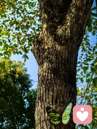 暖风的春，温柔地拂过街巷，吹醒了沉睡的枝头。嫩芽悄悄舒展，花瓣轻轻飘落，空气里混着泥土与花香，清甜又治愈。阳光不燥，微风正好，连时光都变得缓慢柔软。走在这样的春光里，心也跟着暖起来，所有烦恼都被轻轻吹散，只剩满眼温柔与满心欢喜，让人忍不住沉醉在这温柔的季节里。周末愉快配图