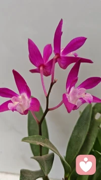 爱情里，心动是一眼就慌乱的欢喜，遗憾是伸手却错过的距离，安全感是不用猜、不用等，知道你一直在。不必轰轰烈烈，只要彼此惦记、彼此坚定，就足够抵过所有风雨。