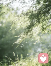 不必总是匆匆赶路，偶尔也要停下来，等一等灵魂。
看看路边新开的花，感受一下午后的暖阳。生活中的幸福感，往往藏在那些看似“无用”的慢时光里。今天，请给自己一个无所事事的下午吧。