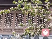 有些故事没写完，就当是留给岁月的留白。不必强求一个结局，不必追问所有答案，那些未说出口的话、没能走到最后的人，都藏在时光里，轻轻安放。遗憾不是亏欠，而是成长里最温柔的印记，提醒我们曾认真爱过、活过。