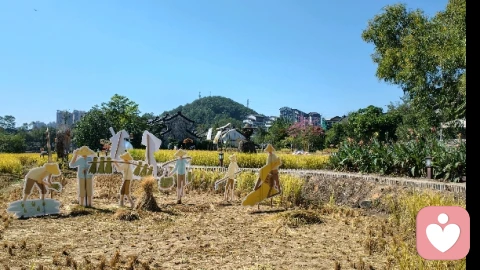 心不执着，自然清明通透，心存善念、懂得放下，福气自来，不求回报地付出，福报最深厚，越舍得给予，内心越富足，放下自我执念，才能真正自在，帮助别人，也是照亮自己