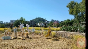 心不执着，自然清明通透，心存善念、懂得放下，福气自来，不求回报地付出，福报最深厚，越舍得给予，内心越富足，放下自我执念，才能真正自在，帮助别人，也是照亮自己