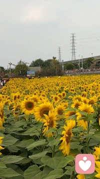 不要把自我价值绑定在别人身上，不要把自我认知建立在别人评价里，不要通过别人的喜欢确认我值得被爱，要向自我内心浇水施肥，不要通过别人的认可证明自己优秀，与其追彼岸的他不如活成彼岸。
新的一年愿一切原来越好！配图