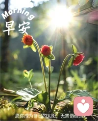 我是谁？我来自哪里？每个人都是自带定义数字生命密码的人，
认识自己才是这个世界最独特的人。配图