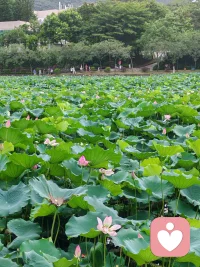 夫妻双方本就是共同修行，在一个家庭里面一、要学会管理情绪，二、学着去倾听对方表达的发心是什么，三、共情能力，学会看见，四、允许一切发生，五、学会接纳。水利万物而不争。祝福大家都越来越好！配图