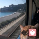 果断溶解驿站之心的头像