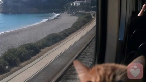 果断溶解驿站之心