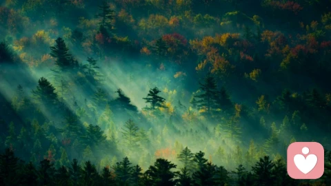 倾听是一种力量