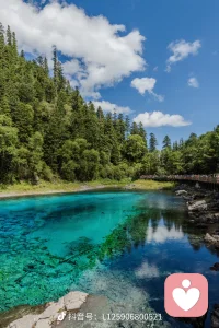 你不是孤岛，你的感受都值得靠岸。配图