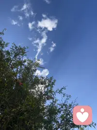 暖冬的天空配图