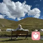 贝贝牙膏的头像