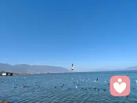 日夜的煎熬，是倾诉者也是倾听者！配图