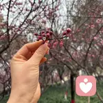 心事有回响，万物皆可谈。的头像