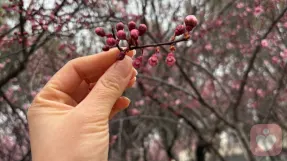 心事有回响,万物皆可谈。