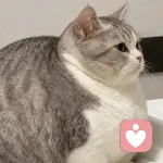 天真无邪的头像