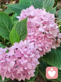 外在的一切都是镜子，都在为了照见我们的内在。配图
