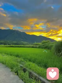 情绪是一个需要被理解的信号，而不是需要被控制的麻烦。
