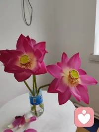 我们做父母的活出我们本自具足的状态，就是给孩子最好的榜样👍