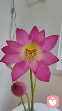 命运交给我们的试卷大抵一样，但解法各有不同。不必东张西望，先交卷离场的，不一定答了满分。
自己过自己的日子，要有自己的节奏，不徐不疾，不羡不惰，方能走好自己的人生。
