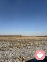 车窗外的树影向后退去，枯黄的田埂上还留着残雪，像极了生活里那些没完全化开的心事。配图