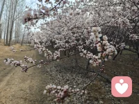 现在偷的每个懒，都是给未来挖的坑，以后的日子要付出数倍的努力来填补这个坑。现在吃的每个苦，都是给未来添砖加瓦，以后的日子会加倍享受苦所带来的乐配图