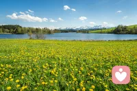 一提到心理咨询，很多人第一反应是调节坏情绪，可它的作用远不止于此。生活里很多迷茫与困境，看似是小事堆积，实则是心理层面需要疏导，心理咨询都能帮我们找到突破口，更好地面对生活。
 
除了情绪调节，这些常见问题，都能借助心理咨询找到解决方向：
 
1. 人际关系内耗：不管是亲情、友情还是职场关系，总因相处矛盾敏感纠结、害怕被否定、不懂拒绝，长期陷入人际疲惫。心理咨询能帮我们理清相处边界，学会有效沟通，摆脱讨好型人格，轻松维系健康的人际关系。
​
2. 人生选择迷茫：面对学业、工作、生活的重大抉择，陷入纠结、不知所措，对未来充满迷茫，找不到自我价值。咨询师会帮我们梳理内心需求，看清自身优势，摆脱盲目内耗，找到适合自己的人生方向。
​
3. 原生家庭影响：被童年经历、原生家庭带来的自卑、缺乏安全感等问题困扰，难以接纳自我，影响当下的生活与情感。通过专业疏导，能慢慢与过往和解，修复内心创伤，重建自信与安全感。