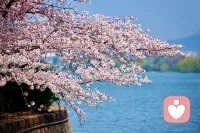 职场中，我们常会陷入迷茫：工作没动力、频繁焦虑内耗、找不到职业方向，甚至陷入自我怀疑，觉得自己一事无成。
 
职场困境不是你的错，学会梳理心态，才能慢慢走出低谷：
 
1. 拆解目标，拒绝焦虑：把繁杂的工作拆成小任务，一步步完成，不盯着遥远的结果内耗，用小成就感积累信心。
​
2. 接纳职场不完美：允许自己犯错、允许工作有不顺，不苛责自己做到极致，放下完美主义，减轻心理压力。
​
3. 回归自我，找准方向：停下盲目攀比，梳理自身优势，明确自己的职业需求，不被外界节奏裹挟，稳步前行就好