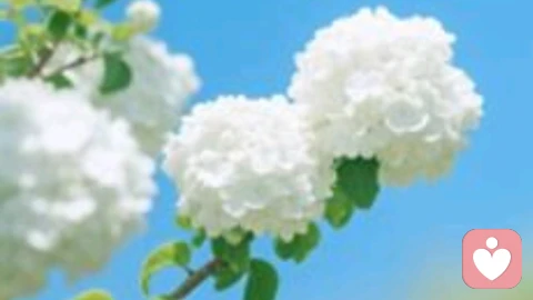 守住人际边界，别让善意消耗自己