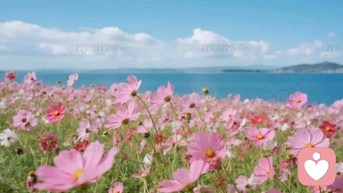 停止情绪内耗，把能量还给自己