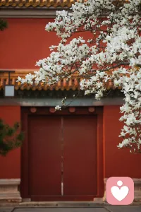 红墙黄瓦，一砖一瓦皆是史。一眼千年，满是东方古韵。