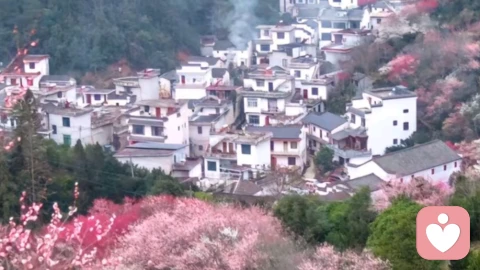 焦虑不可怕：学会与焦虑和平共处