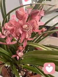 人没办法在青春的时候享受青春，也没办法在经历美好的时候知道这就是美好配图