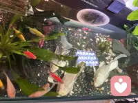 人没办法在青春的时候享受青春，也没办法在经历美好的时候知道这就是美好配图