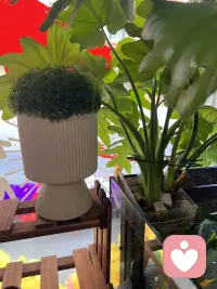 人没办法在青春的时候享受青春，也没办法在经历美好的时候知道这就是美好配图