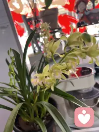 人没办法在青春的时候享受青春，也没办法在经历美好的时候知道这就是美好配图