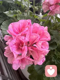 人没办法在青春的时候享受青春，也没办法在经历美好的时候知道这就是美好配图