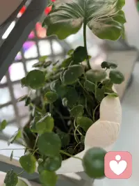 人没办法在青春的时候享受青春，也没办法在经历美好的时候知道这就是美好配图