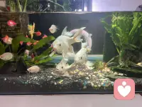 人没办法在青春的时候享受青春，也没办法在经历美好的时候知道这就是美好配图