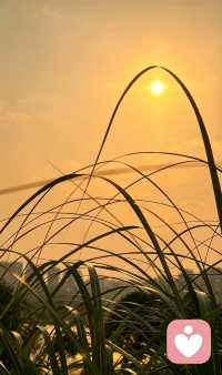 停止精神内耗，试着与自己和解， 我们总困在对未知的预判里自我拉扯，被无端的揣测消耗心神，却忽略了唯有当下，才真正握在掌心。试着收回飘远的思绪，专注眼前的每一件小事，用切实的行动驱散心底的浮躁与不安。别让无尽的思虑，掩盖了生活原本的温柔与烟火。认真活在此刻，便是治愈一切焦虑的最好方式。