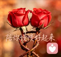 很多人问我，倾听师到底是做什么的？
很简单：给情绪一个出口，给灵魂一个安身的角落。我不教你坚强，不替你做决定，只陪你梳理情绪、看见自己。无论是深夜emo、人际烦恼、家庭压力，还是那些无人理解的孤独，都可以放心来找我。
把心事交给我，我会守好你的秘密，陪你慢慢好起来。