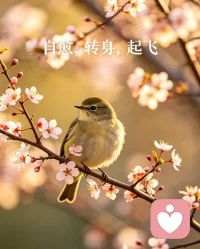 鸟儿愿意停在树枝上，从来不是因为树枝有多牢靠，而是它自己有翅膀，随时都能飞起来。
 做倾听也是如此。我可以接住你此刻的疲惫、委屈和不安，但我更想陪你慢慢找回属于你自己的力量——不是依赖谁，而是你本身就有自愈、转身、重新起飞的能力。配图